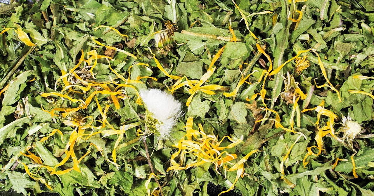 JR Farm Pampeliška 100 g