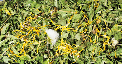 JR Farm Pampeliška 100 g